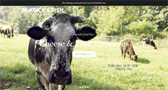 Desktop Screenshot of blackradishcreamery.com